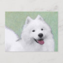 Recherche de samoyede cartes postales Nenetskaya laika