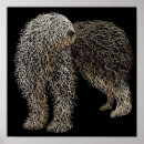Recherche de vieux chien berger anglais posters Animal