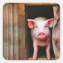 Recherche de porcelet autocollants Agriculteur