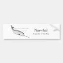 Recherche de narwhal voiture autocollants Baleine