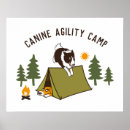 Recherche de agile posters Chien