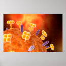 Recherche de biologie moléculaire posters 3d