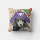 Recherche de caniche miniature coussins Chiot