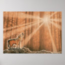 Recherche de loup de forêt posters Imaginaire
