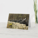 Recherche de vache toutes vœux cartes Animal