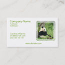 Recherche de ours panda cartes visite Animal