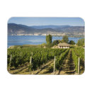 Recherche de palais magnets Vert