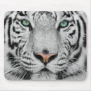 Recherche de tigre blanc tapis souris Chat