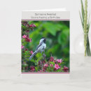 Zoek naar tuin humor kaarten Kat