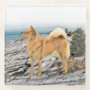 Zoek naar fins onderzetters Hond