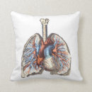 Recherche de anatomie coussins Infirmière