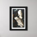 Recherche de snowy owl posters Vintage