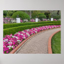 Recherche de pétunia posters Paysage