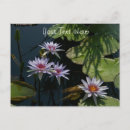 Zoek naar waterlilies briefkaarten Vijver
