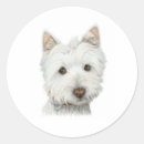 Recherche de de westie autocollants Dog