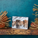 Recherche de cheval islandais plaques Délimiteur danita