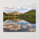 Recherche de bears cartes postales Usa