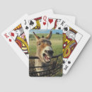 Recherche de donkey jeux de cartes Mule