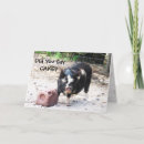 Zoek naar varkensvlees kaarten Boerderij