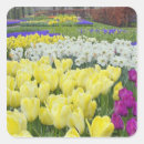 Recherche de jacinthes autocollants Fleur