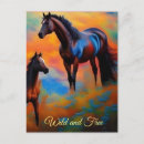 Recherche de cheval sauvage cartes postales Équin