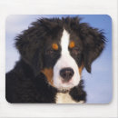 Recherche de intelligent tapis souris Chien