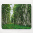 Recherche de forêt bouleau tapis souris Nature
