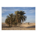 Recherche de dunes de sable posters Afrique
