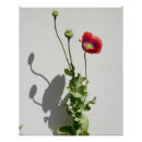 Recherche de opium posters Fleur