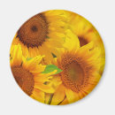 Recherche de flore refrigérateur magnets Floral