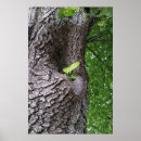 Zoek naar takken posters Blad