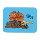 Recherche de lézard magnets Reptile