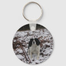 Recherche de springer spaniel porteclés Sauteur