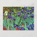 Recherche de iris van gogh cartes postales Fleurs