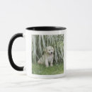 Recherche de arrière cour tasses Intégral