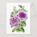 Recherche de fleur rose vintage cartes postales Botanique