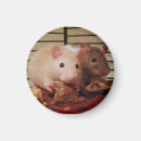 Recherche de ratties magnets Animaux familiers