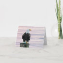 Zoek naar vis fotografie Wild