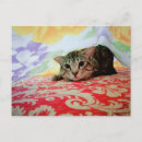 Recherche de lit de chat cartes postales Amoureux des chats