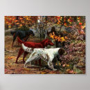 Recherche de irlandais posters Chien