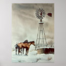 Recherche de cheval d appaloosa posters Ferme