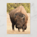 Recherche de focale cartes postales Vertical