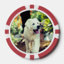 Recherche de nature jetons poker Animal