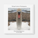 Recherche de morceau magnets Photographie