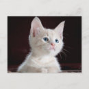 Recherche de concevoir cartes postales Personnalisée