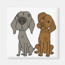 Recherche de weimaraner magnete Animaux