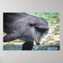 Recherche de beau dauphin art Vie marine