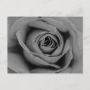 Recherche de monochromatique cartes postales Nature