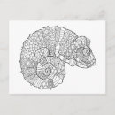 Zoek naar chameleon briefkaarten Zendala