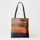Recherche de saguaro sacs Nature
